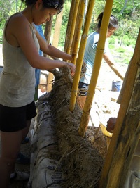 Bamboo Building Nicaragua